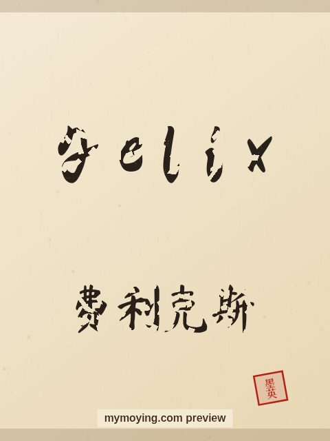 Felix written in Chinese brush calligraphy style with Chinese name 费利克斯