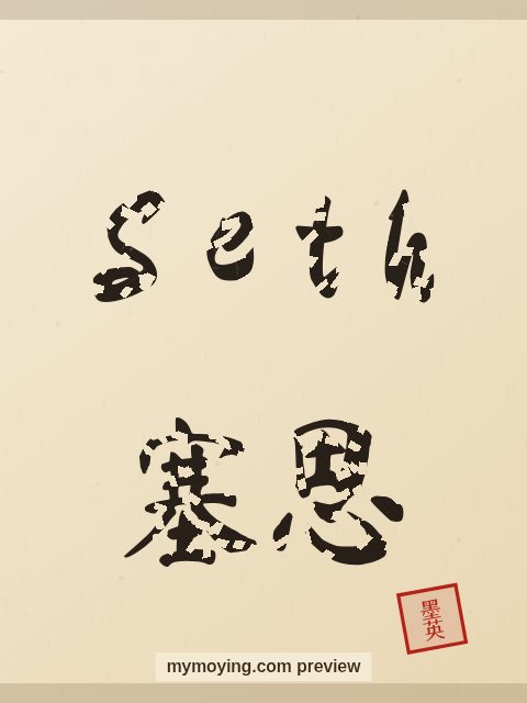 Seth written in Chinese brush calligraphy style with Chinese name 塞思